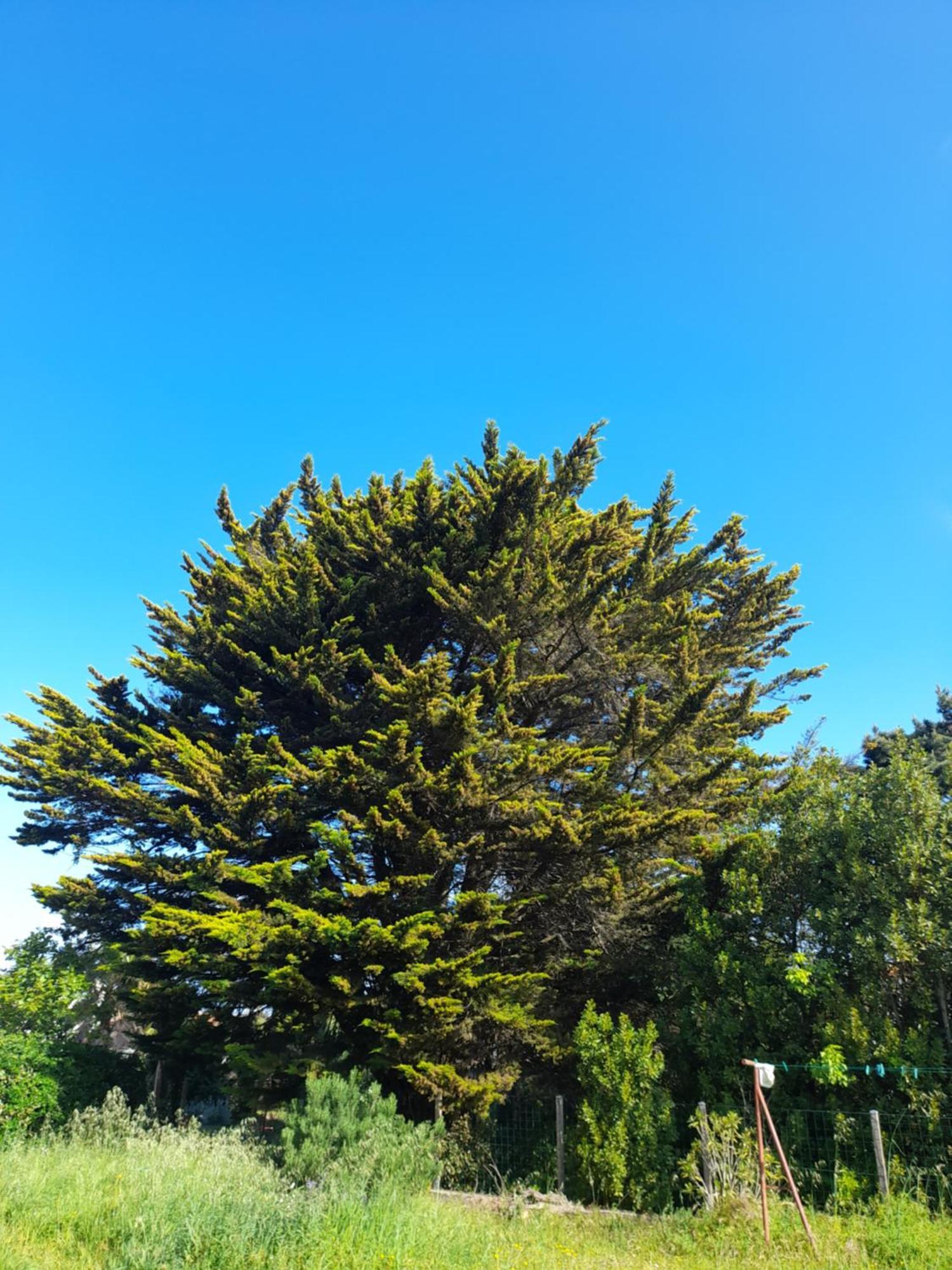 Апартаменты Le Stud' A Saint Pierre D'Oleron ! Номер фото